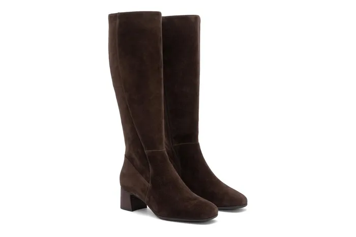 ABEO Footwear Avenue Tall Java Suede Women Boots