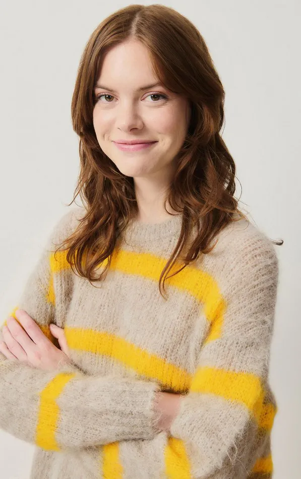 American Vintage Jumpers and Cardigans Women Jumper Bymi Misty Striped Jam
