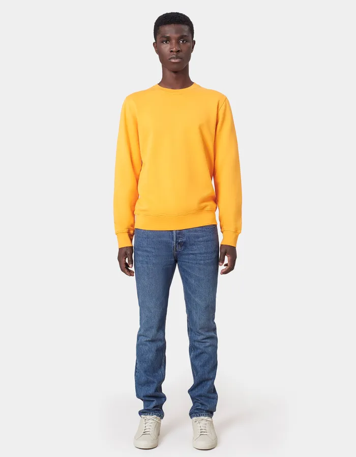 Crewneck Sweatshirts Men Colorfulstandard Classic Organic Crew 8211 Polar Blue