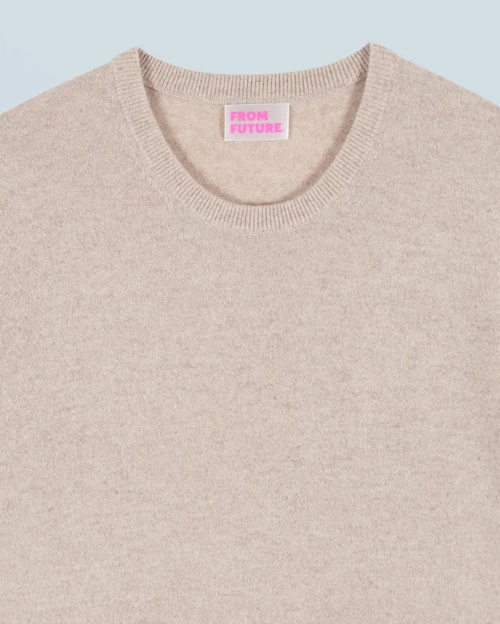 From Future Cashmere Sweaters Men Basic Crewneck Sweater Beige Moulin