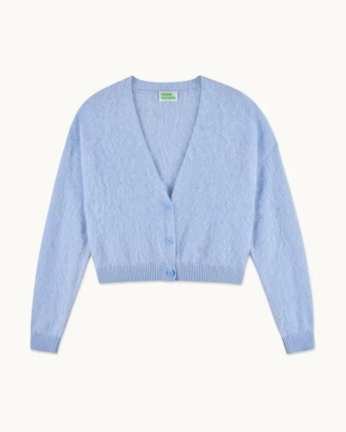From Future Cashmere Sweaters Women Brushed Cardigan Sweater Baby Blue