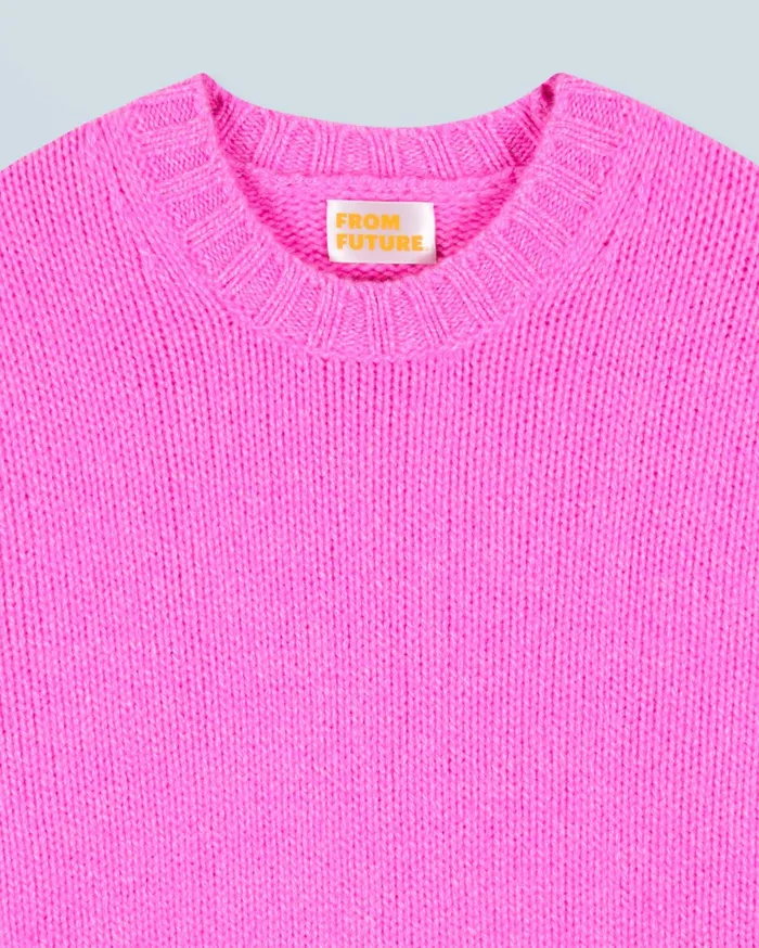 From Future Cashmere Sweaters Women Pull Col Rond Pink