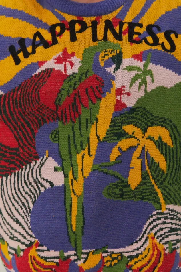 Happiness Sweater Women Farm Rio Sweaters and Sweatshirts