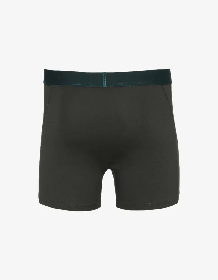 Men Classic Organic Boxer Briefs Hunter Green Colorful Standard Underwear