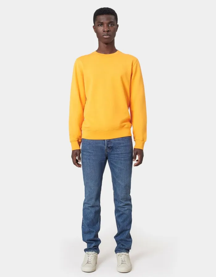 Men Classic Organic Crew Polar Blue Colorful Standard Crewneck Sweatshirts