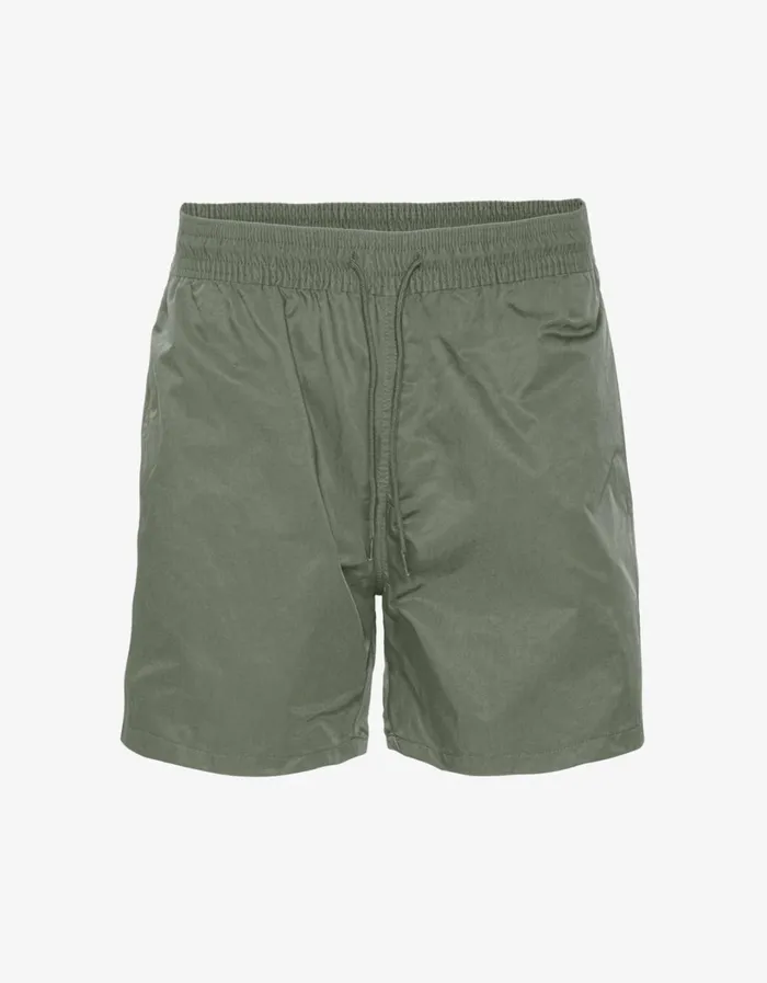 Men Classic Swim Shorts Dusty Olive Colorful Standard Shorts