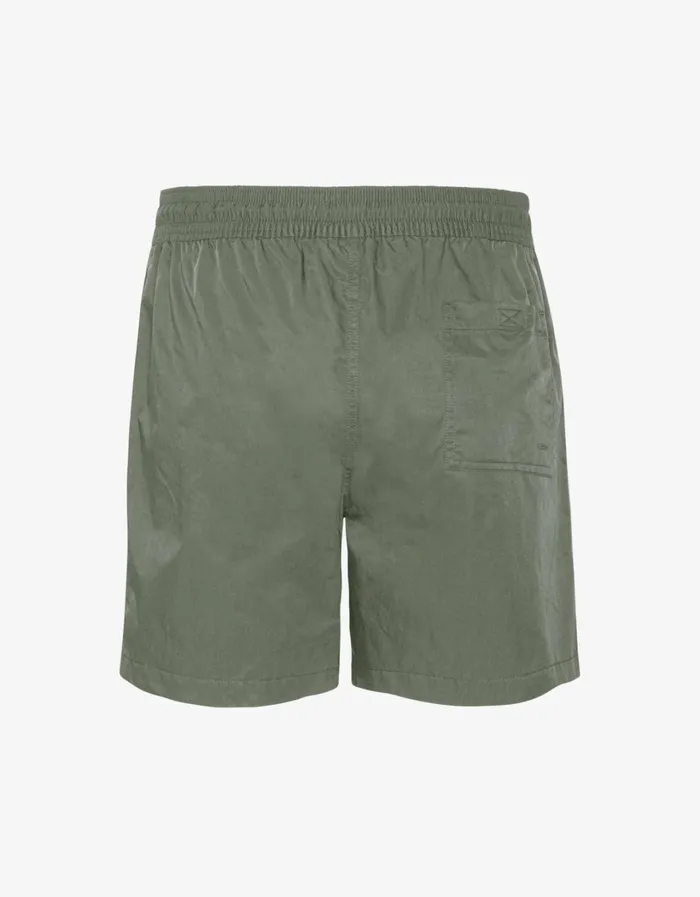 Men Classic Swim Shorts Dusty Olive Colorful Standard Shorts