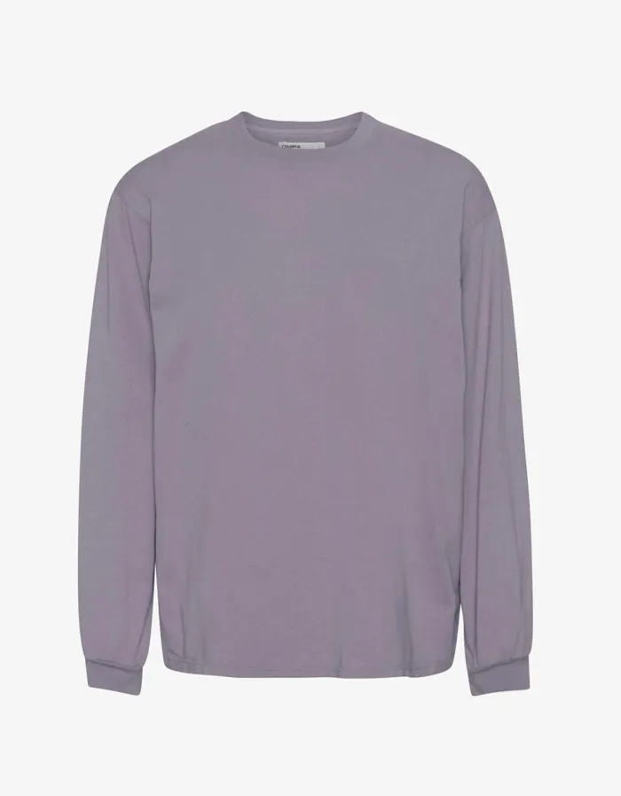 Men Oversized Organic LS TShirt Purple Haze Colorful Standard TShirts