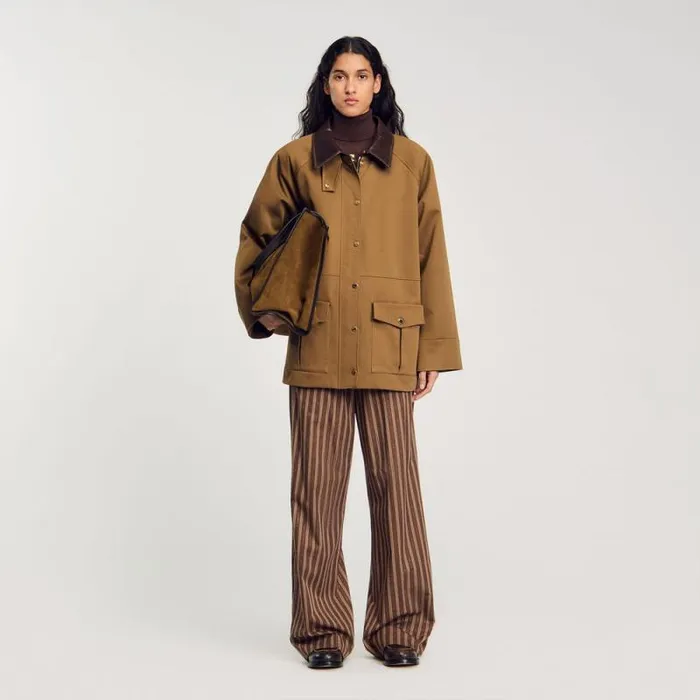 Pants and Shorts Women SANDRO Striped Trousers Brown