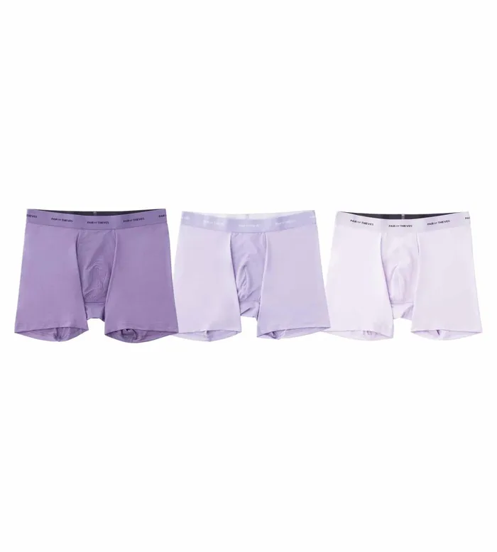 Quick Dry Action Blend Boxer Briefs Lavender Underwear 3 Pack Men Pair Of Thieves Boxer Briefs