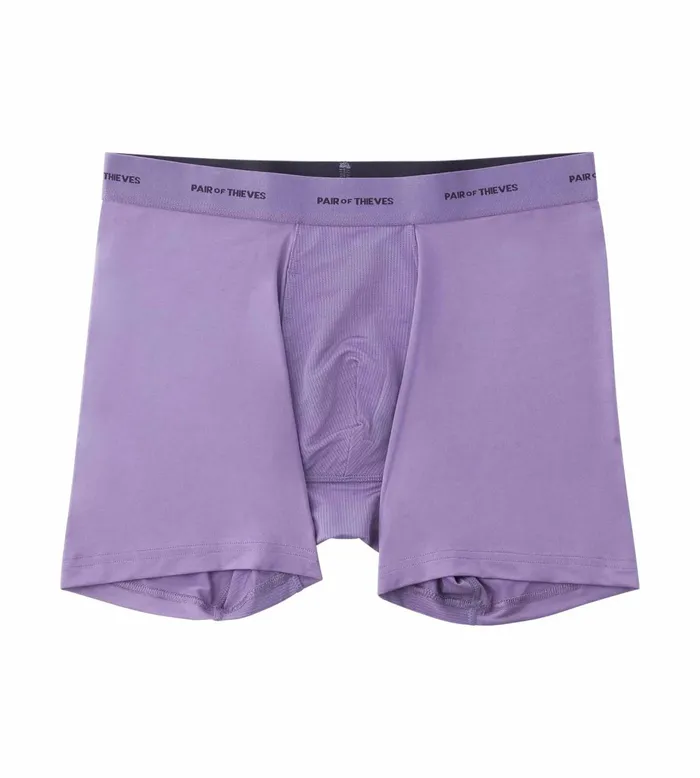 Quick Dry Action Blend Boxer Briefs Lavender Underwear 3 Pack Men Pair Of Thieves Boxer Briefs