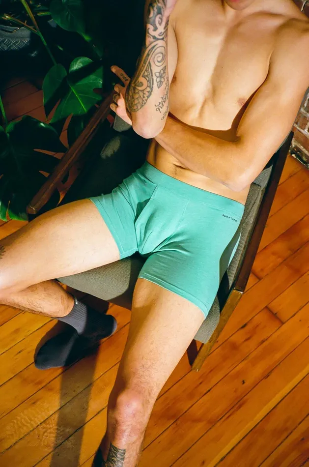 Quick Dry Action Blend Cotton Boxer Briefs Green Underwear 3 Pack Men Pair Of Thieves Boxer Briefs