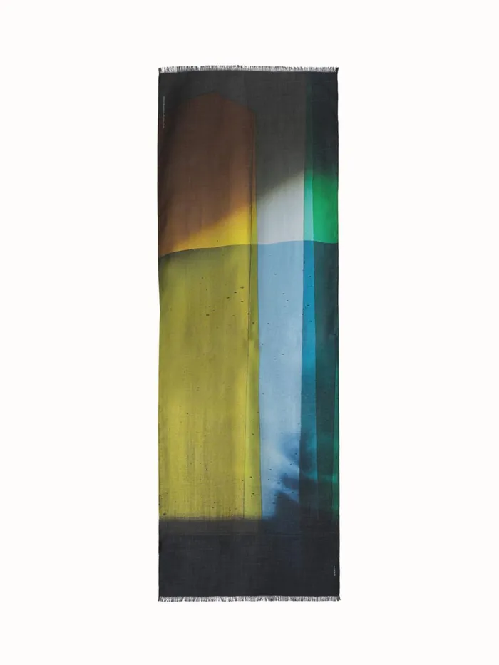 Scarf In Cashmere And Silk With Mimosa Liquid Light Print Mimosamulticolor Women Akris Collector Scarves