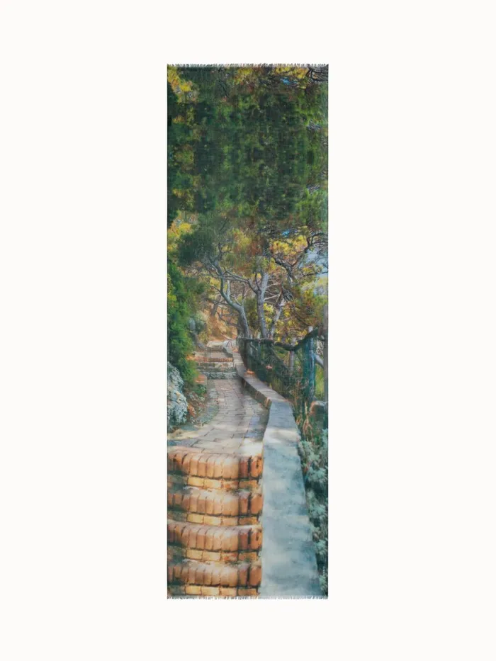 Scarf In Cashmere And Silk With Via Krupp Print Multicolor Women Akris Collector Scarves