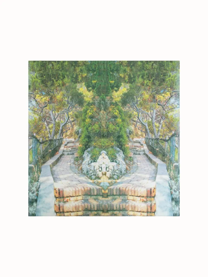 Scarf In Cotton And Silk With Via Krupp Print Multicolor Women Akris Collector Scarves