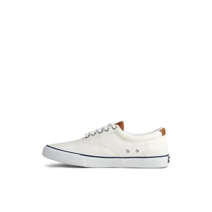 Shoes Men Sperry Striper II CVO Sneaker White