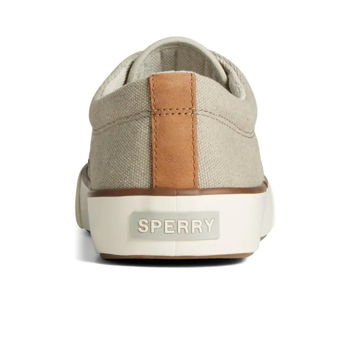Sneakers Men Sperry Striper II Washed Canvas CVO Sneaker Bone