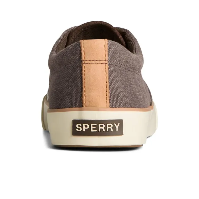 Sneakers Men Sperry Striper II Washed Canvas CVO Sneaker Brown
