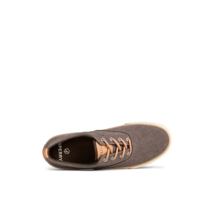 Sneakers Men Sperry Striper II Washed Canvas CVO Sneaker Brown