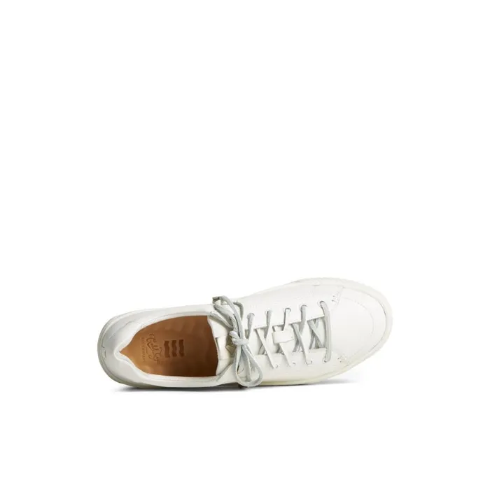 Sneakers Women Sperry Gold CupAnchor PLUSHWAVE Sneaker White