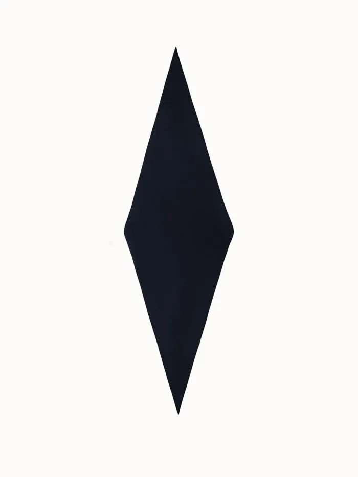 Trapezoid Shaped Scarf From Cashmere Silk Navy Women Akris Cashmere