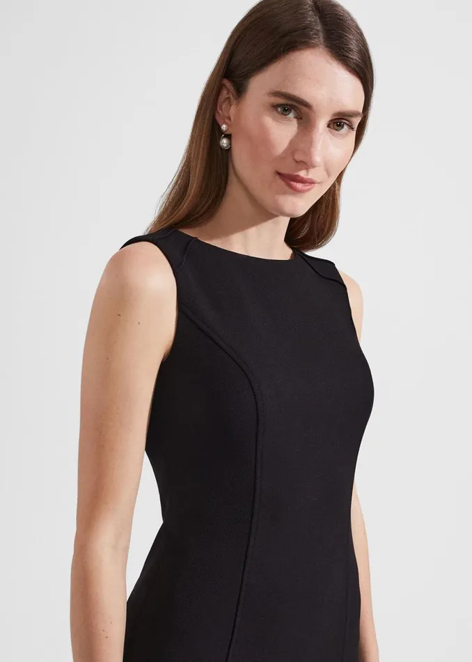 Women Dresses and Jumpsuits Hobbs Petite Charley Dress Black