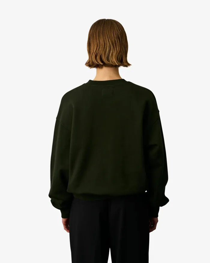 Women Organic Oversized Crew Faded Grey Colorful Standard Crewneck Sweatshirts