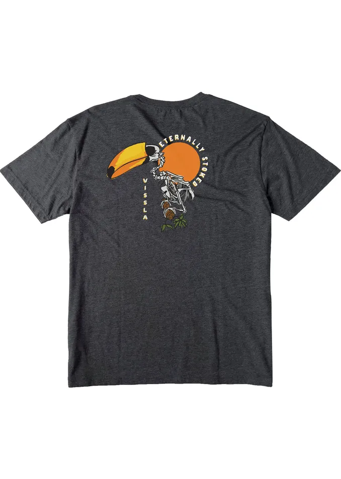 Youth Vissla Toucan Play Boys Tee Black Heather Clothing